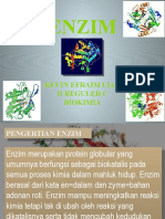 PPT ENZIM