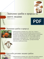 Значення грибів в природі та житті людини