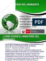 Ministerio Del Ambiente Trabajo PDF