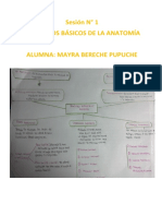 Mapa Conceptual