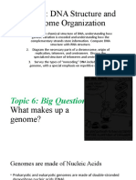 Topic 6 DNA Structure and Genome Organization