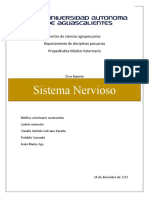 Centro de ciencias agropecuarias - Sistema Nervioso