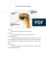 Anatomi mata  dan fisiologi penglihatan 2 (Autosaved) - Copy