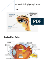 Anatomi Mata Dan Fisiologi Penglihatan