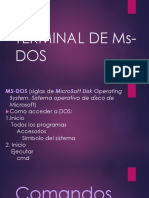 TERMINAL DE Ms-DOS