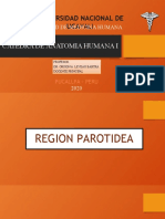 Región parotidea y región carotidea