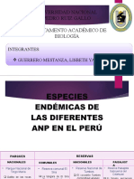 ANP DEL PERU POR CATEGORIAS