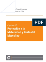 Protección a la maternidad y fuero laboral masulino.pdf