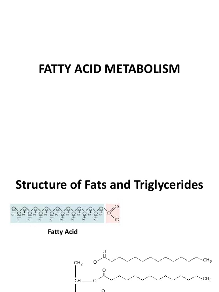 Fatty Acid Metabolism Overview | PDF | Fatty Acid | Adenosine Triphosphate