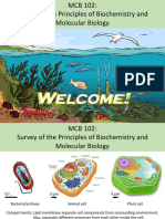 MCB 102 Introduction to Biochemistry and Molecular Biology