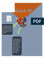 Infografia ATP