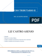 Derecho Tributario Ii: Mg. Liz Castro Asenjo