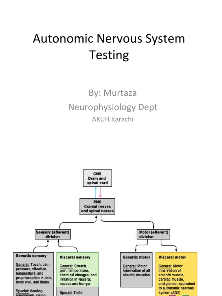 Autonomic Nervous System Testing: By: Murtaza Neurophysiology Dept ...