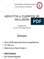 15-Hepatitis A Cuerpos de Inclusion