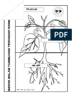 Gerak Balas Terhadap Rangsangan PDF