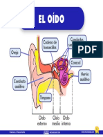 Oído PDF