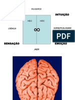 Hemisférios Direito e Esquerdo Do Cérebro PDF