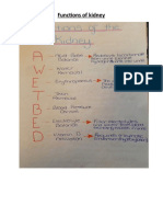 Function of Kidney_Nursing