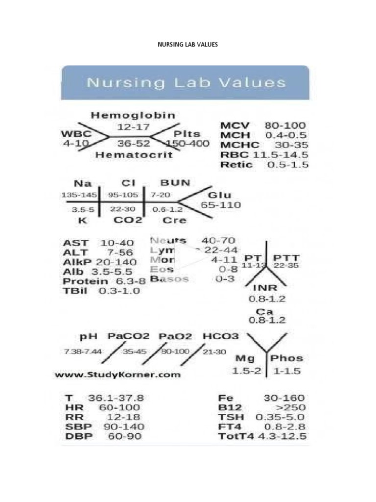 Lab Values For Nursing PDF