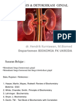 Homeostasis Dan Detoksikasi Ginjal PDF