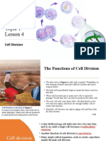 Topic 1 Lesson 4: Cell Division