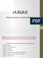 Plăgi