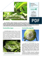 Ficha Tecnica 42 2011 PDF