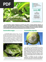 ficha_tecnica_42_2011.pdf