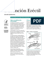 ErectileDysfunction 508 PDF