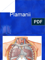 Plamanii Final