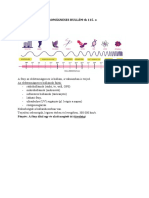 7 - Óravázlat - A FÉNY Mint Elekromágneses Hullám PDF