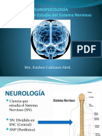 Diapositivas  Complementarias Sistema Nervioso.pptx