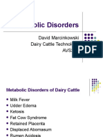 Metabolic Disorders: David Marcinkowski Dairy Cattle Technology AVS346