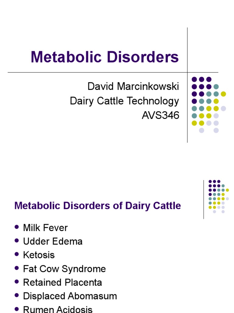 Managing Metabolic Disorders in Dairy Cattle An Overview of Milk Fever