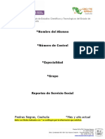 Ejemplo de Servicio Social Bimestral