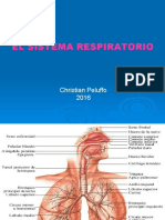 El Sistema Respiratorio