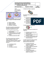 Evaluacion Ciclo III PDF