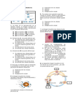 Evaluacion Ciclo IV