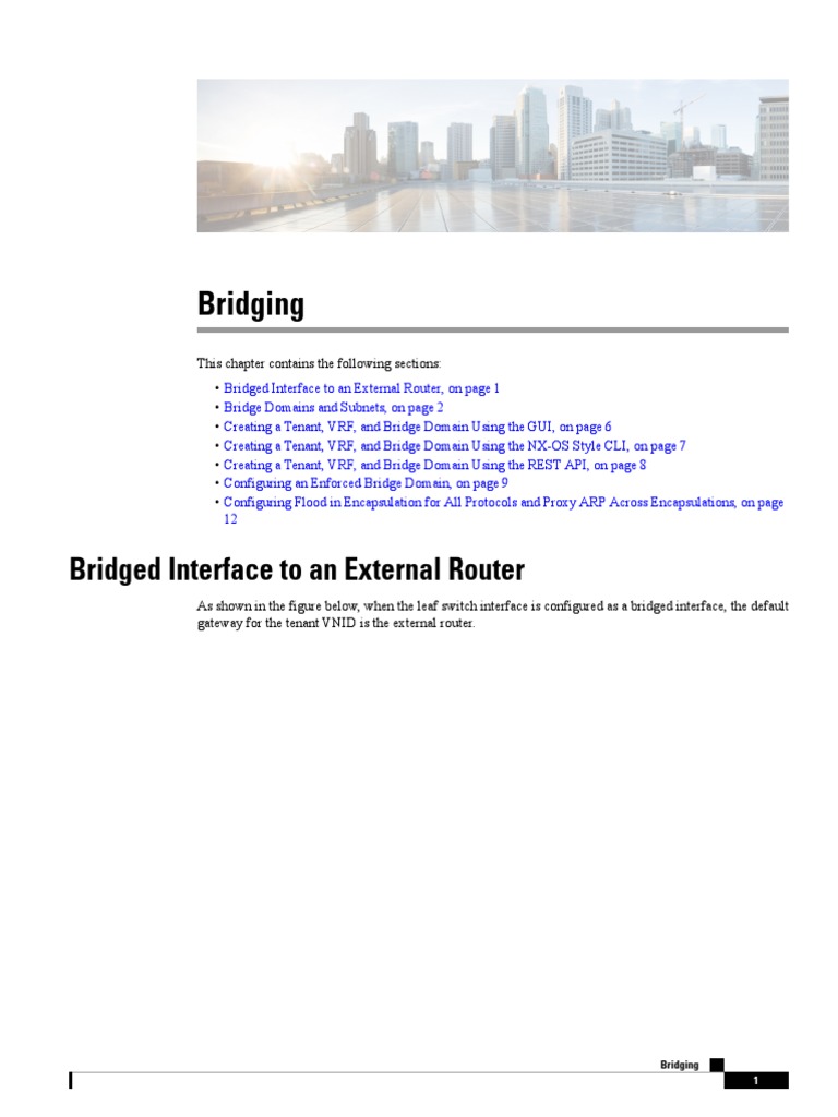 Bridging Bridged Interface To An External Router PDF I Pv6 Ip