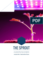 libro-the-sprout-_-español