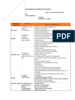 Observacion Aulica Maternal II