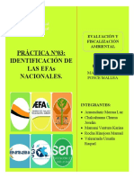 PRÁCTICA Nº03, IDENTIFICACIÓN DE LAS EFAs NACIONALES.