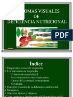 Nutrición Vegetal