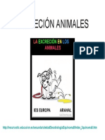 Excreción Animales