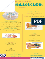 VIII PAR CRANEAL - Neuro PDF