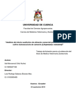 Trabajo de Titulación PDF