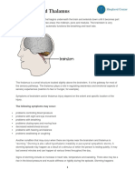 Brainstem and Thalamus PDF