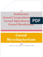 G.MYCOBACTERIUM G.CORYNEBACTERIUM G.BORDETELA