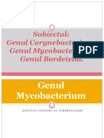 G.mycobacterium G.corynebacterium G.bordetela