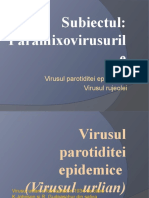 PARAMIXOVIRUSURILE